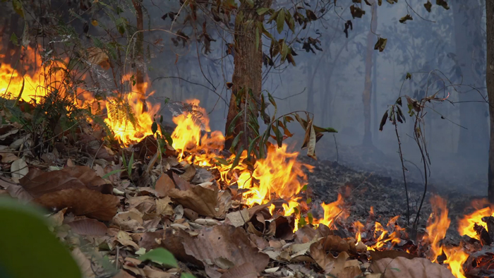北京红立方机场急救箱,交通急救箱,急救止血绷带,急救包扎包,旋压式止血带等新闻资讯